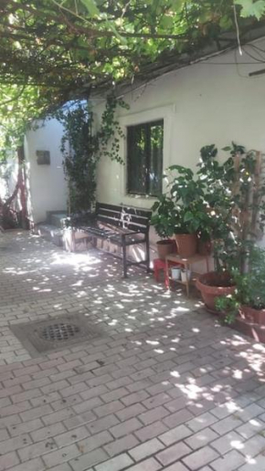Downtown studio in a villa with yard